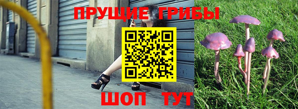Нововоронеж  Псилоцибиновые грибы прущие грибы  Вход с VPN 